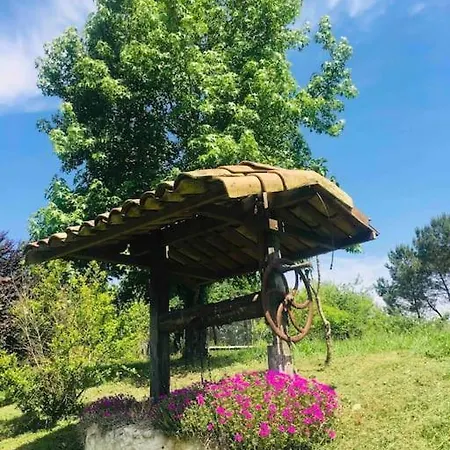 10 Personnes Dans La Nature Proche Ocean Landes *