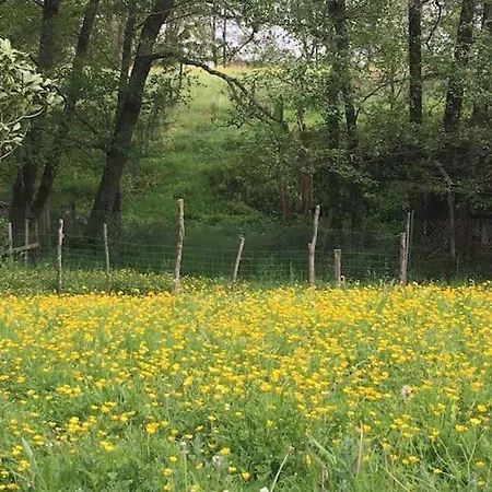 펜션 10 Personnes Dans La Nature Proche Ocean Landes Heugas