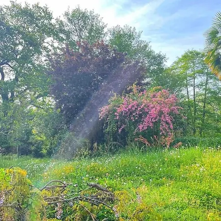 Semesterbostad 10 Personnes Dans La Nature Proche Ocean Landes Heugas
