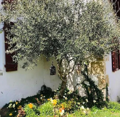 Hébergement de vacances 10 Personnes Dans La Nature Proche Océan Landes Heugas